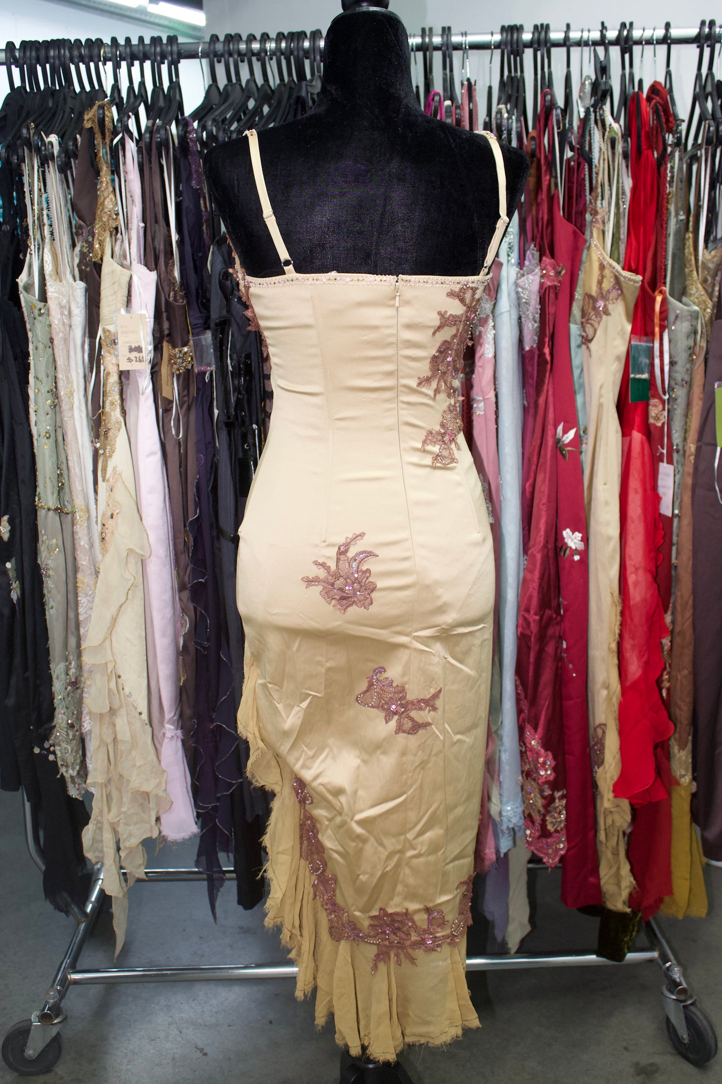 Champagne fairy dress