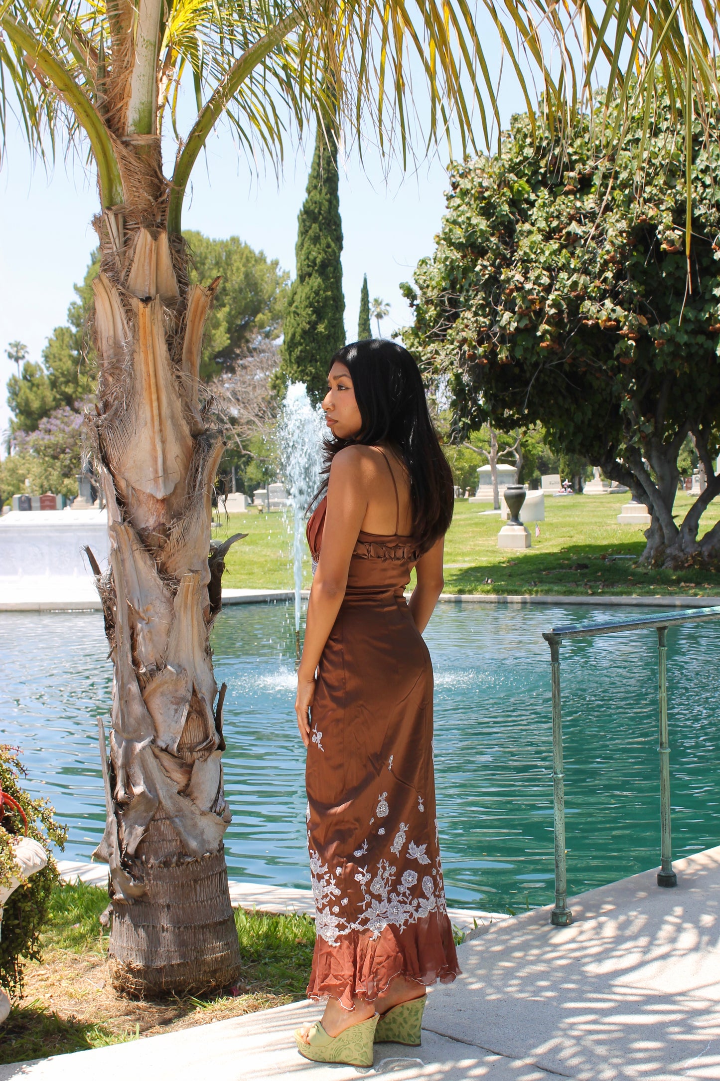 Royal brown dress