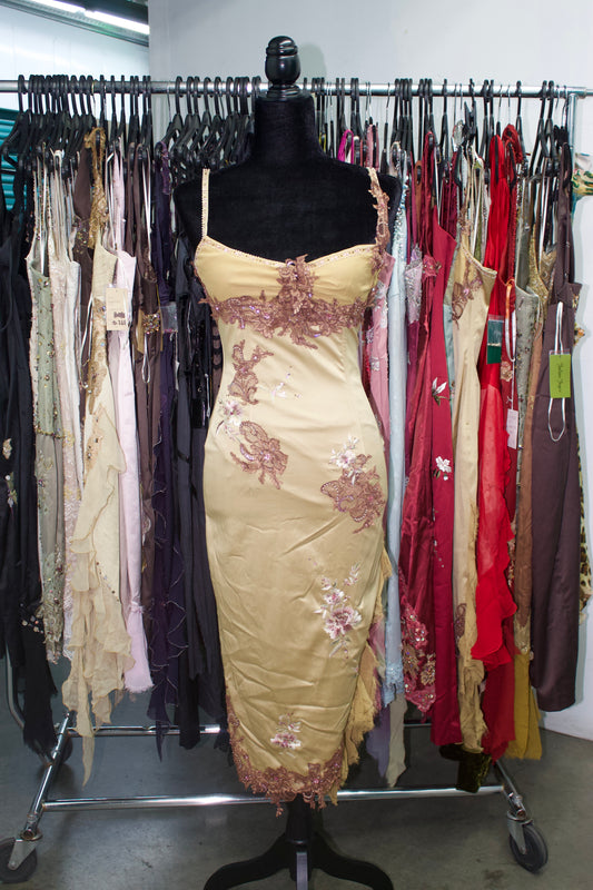 Champagne fairy dress