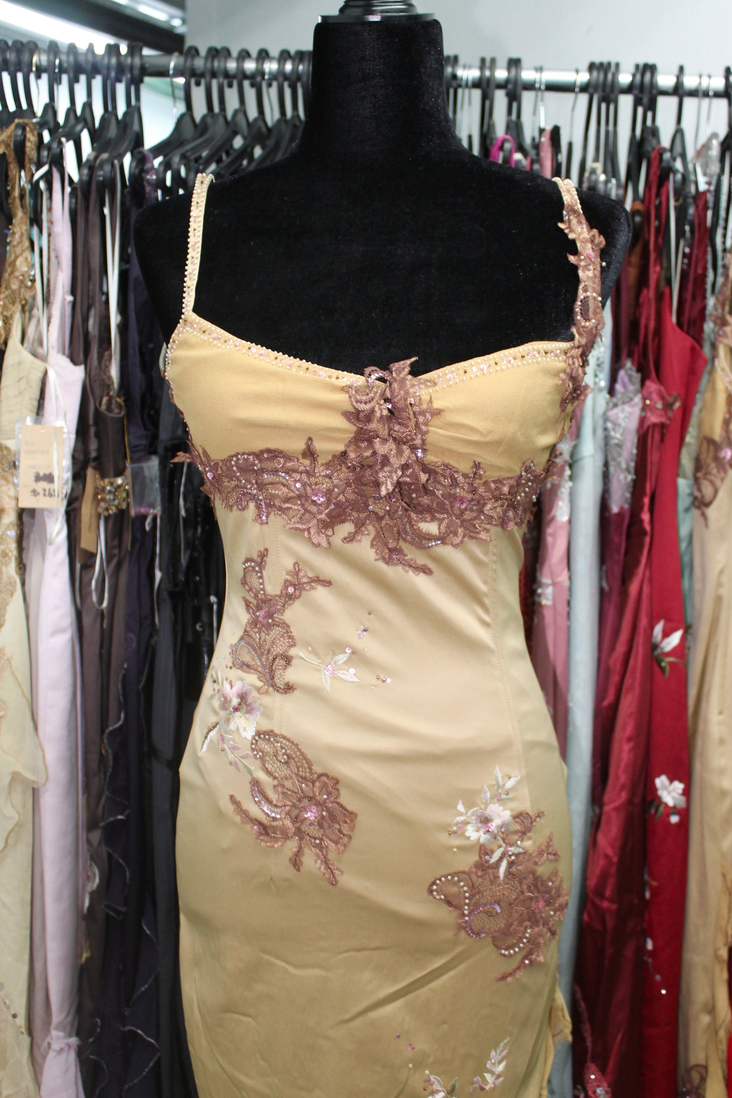 Champagne fairy dress