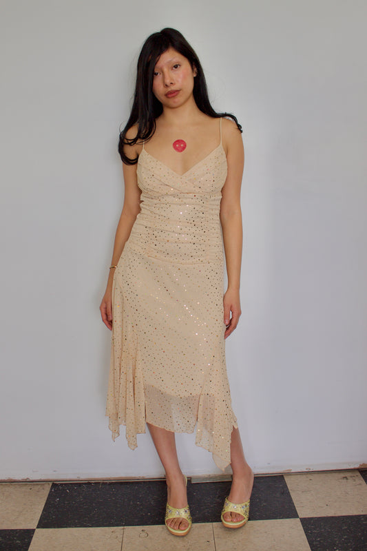 Vintage sparkle fairy dress